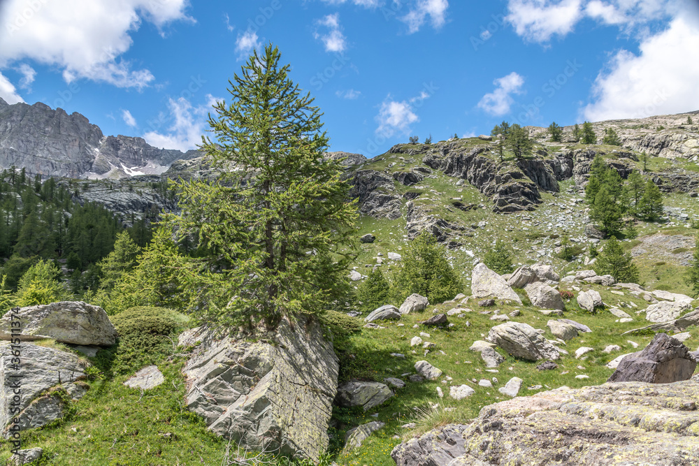 Paysage alpin dans le parc du Mercantour - Alpine landscape in the Mercantour park in the South of France