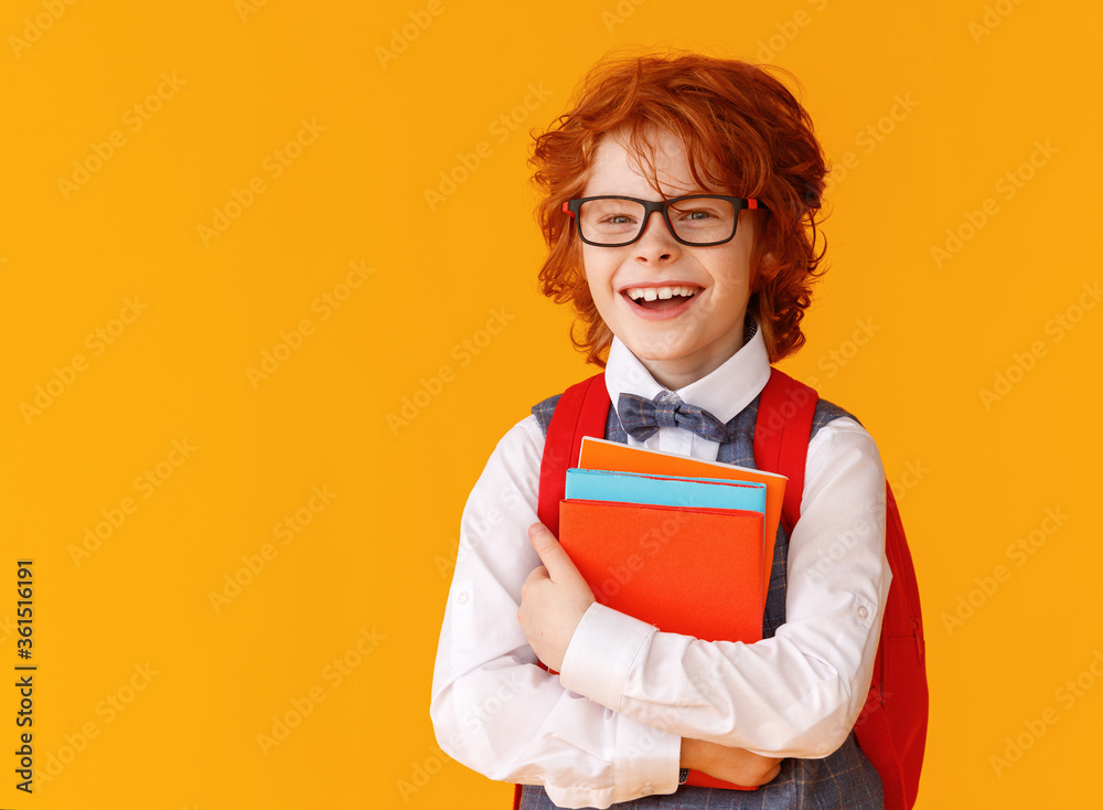 Happy schoolboy with books smile. Happy schoolboy with books smile.