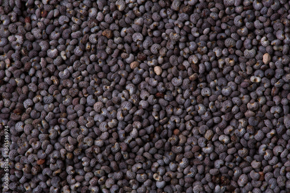 Poppy seeds as a background texture. Macro Poppy seeds as a background texture. Macro