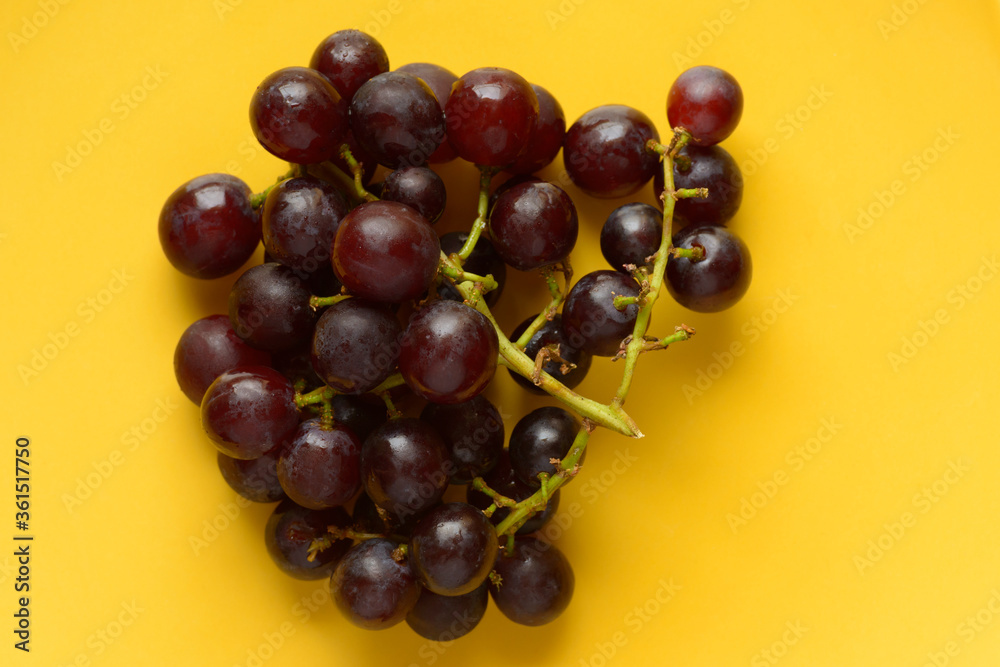 Fototapeta premium Portrait of ripe red grapes in bunch