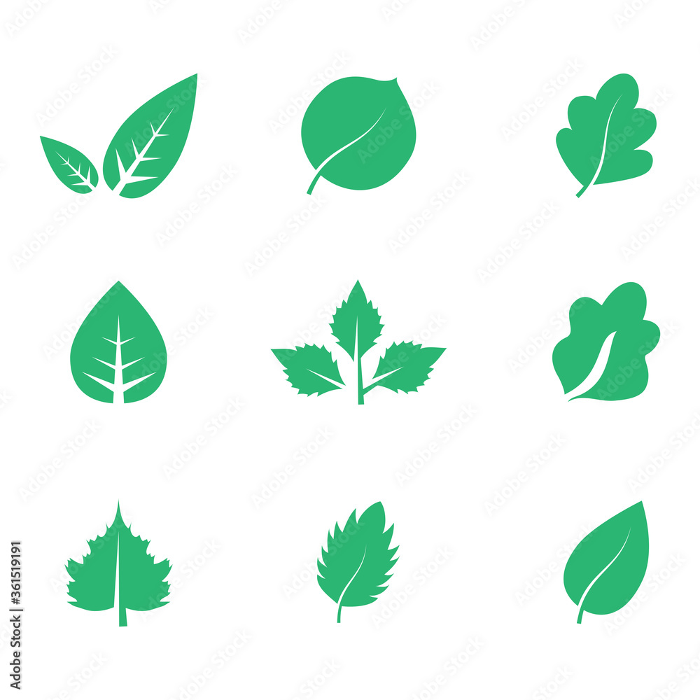 Abstract leaf icon set isolated on white background. Collection of leaf icons for symbol, logo, sign, label and app. Creative art concept. Vector illustration, flat leaves Abstract leaf icon set isolated on white background. Collection of leaf icons for symbol, logo, sign, label and app. Creative art concept. Vector illustration, flat leaves