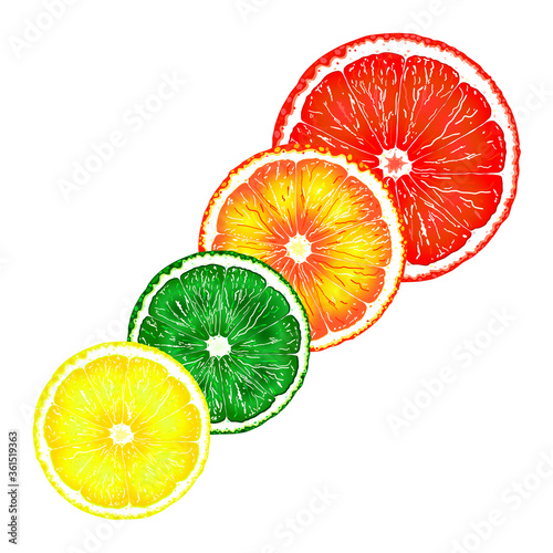 Set of orange, lime, lemon and grapefruit