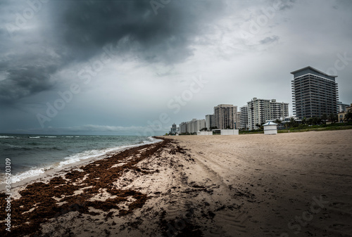 Miami Beach on cloudy and stormy day. Dead algae on shore. Hotels skyscrapers on the right side. Fine sand beach in Florida, US