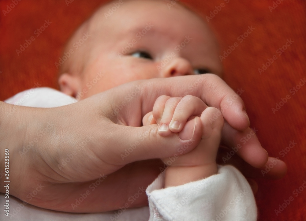 Hands of baby and mother. Hands of baby and mother.