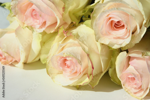 beautiful delicate bouquet of flowers. wedding decoration. roses are pale pink. © Alena Mostovich