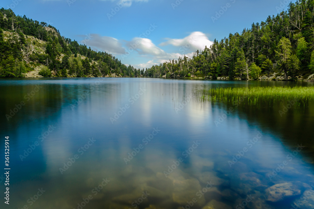 Obraz premium Reflections on the lake (Cacpir, France, Estany Llong)