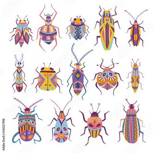 Colorful beetles vector collection