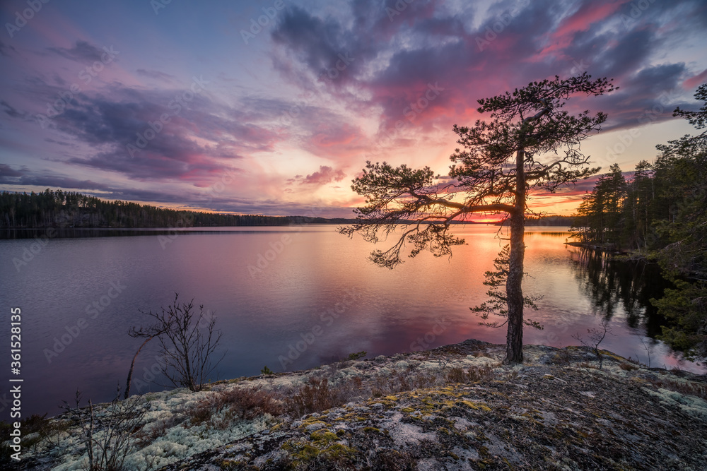 Scenic sunset landscape with peaceful lake and tree at summer evening in Finland