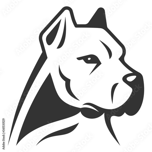 White Dogo Argentino, stylized vector illustration