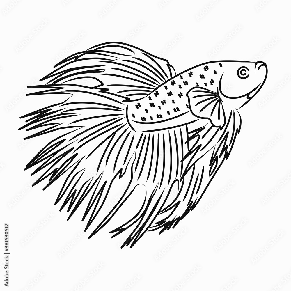 Betta Fish Crowntail Line Art For Logo Betta Fish Crowntail Line Art For Logo