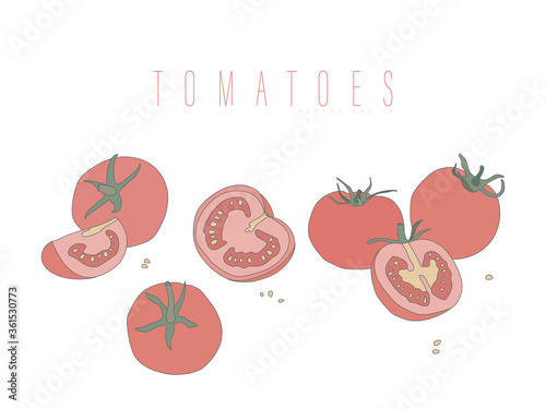 Whole and cut tomatoes. Vector illustration in a flat style with contour isolated on a white background. Vegetables for design.