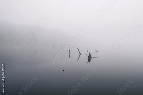 長野県・立科町 初夏の女神湖の朝霧