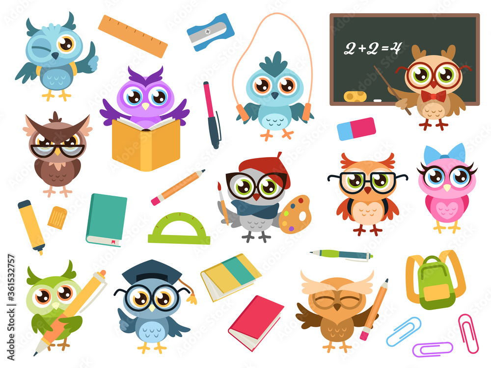 School owls. Color cute birds studying in school and teacher, owl with books and stationery. Teaching education cartoon vector characters