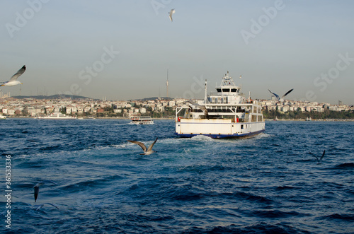 seagulls follow passenger ship or ferry sailing along the Bosphorus in Istanbul in Turkey at late afternoon, city  in background 