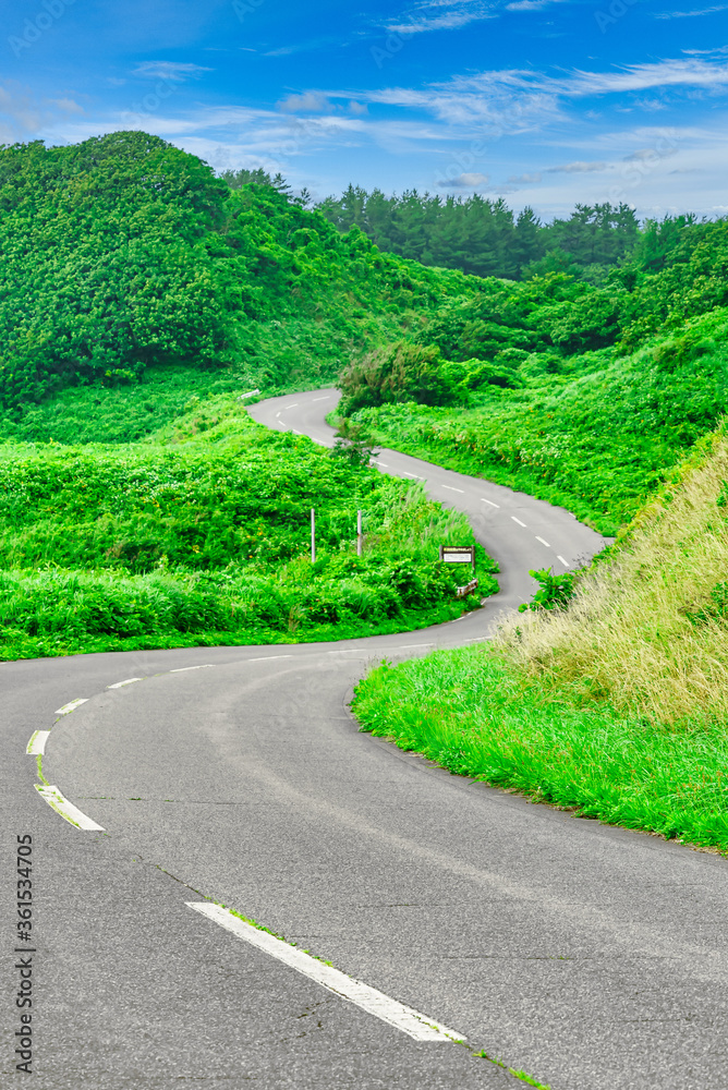 【夏のドライブイメージ】新緑に囲まれた爽やかな道