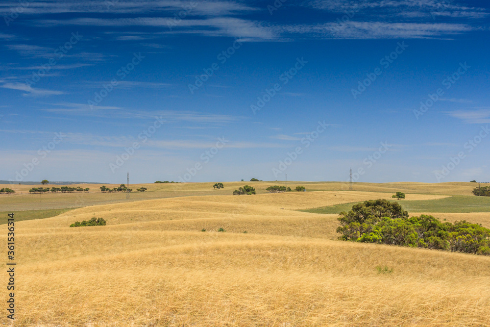 Windy landscape with hills of quartz sand with dry grass, scattered trees and shrubs and veil clouds with blue sky