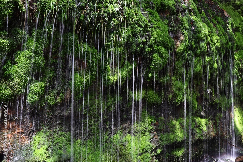 南阿蘇村 清水滝の流水 南阿蘇村 清水滝の流水