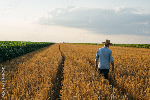 farmer walking on through wheat field