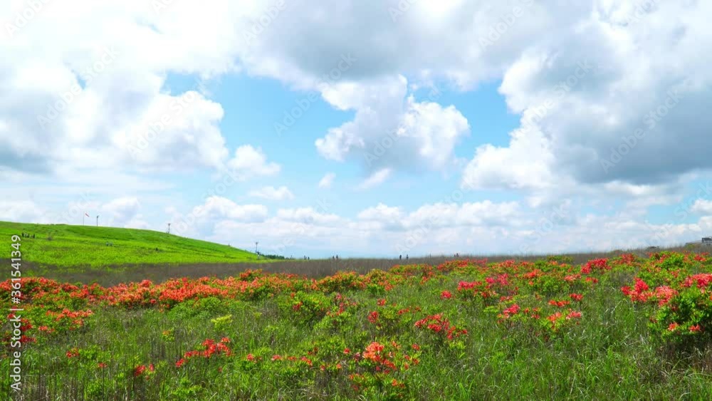 初夏の霧ヶ峰高原 初夏の霧ヶ峰高原