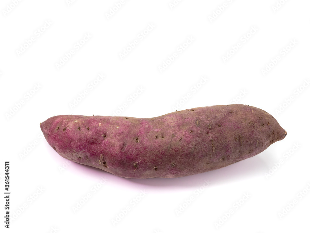 The close up of fresh organic sweet potato vegetable food on white background. The close up of fresh organic sweet potato vegetable food on white background.
