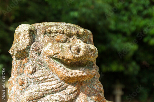 大三島「大山祇神社」 photo