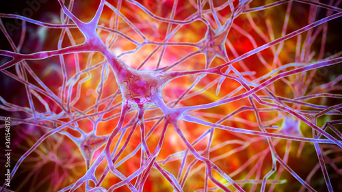 Neurons, human brain cells, 3D illustration. Human nervous system