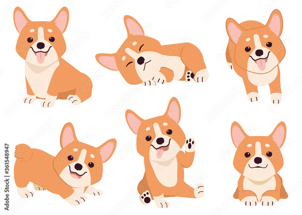 The collection of corgi in many action. Graphic resource about set of dogs corgi for graphic, content, etc. 