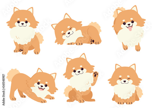 The collection of pomeranian dog in many action. Graphic resource about set of dogs pomeranian for graphic, content, etc.  photo
