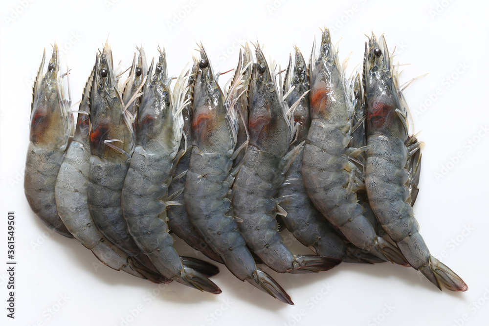 Fresh shrimp or Raw shrimp on white background Fresh shrimp or Raw shrimp on white background