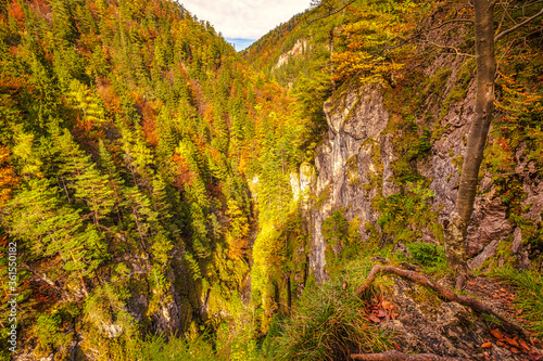 Mountain landscape in autumn day. View into the gorge on hiking trail through Kvacianska valley, Slovakia, Europe. photo