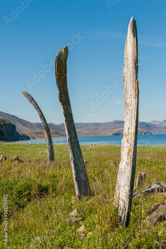 Whale Bone Alley, Ittygran Island, Chukotka, Russia photo
