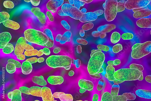 Porphyromonas gingivalis bacteria photo