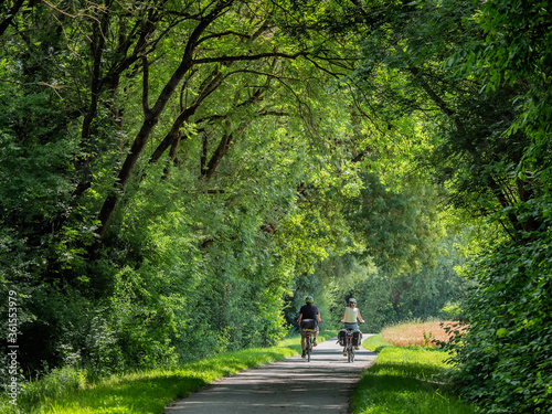 Pathway along river Main in Germany photo