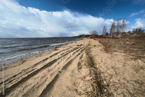 Cold deserted beach in winter on the Gulf of Finland