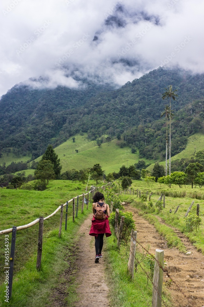 Girl with backpack walking alone in cocora valley, salento, colombia. Vertical