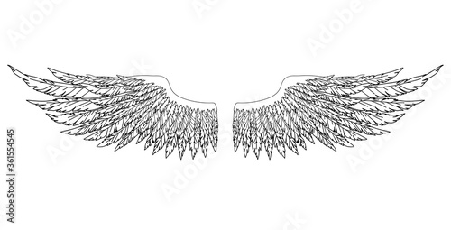 Black and white hand-drawn wings