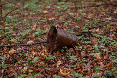rusty bucket in a dark forest