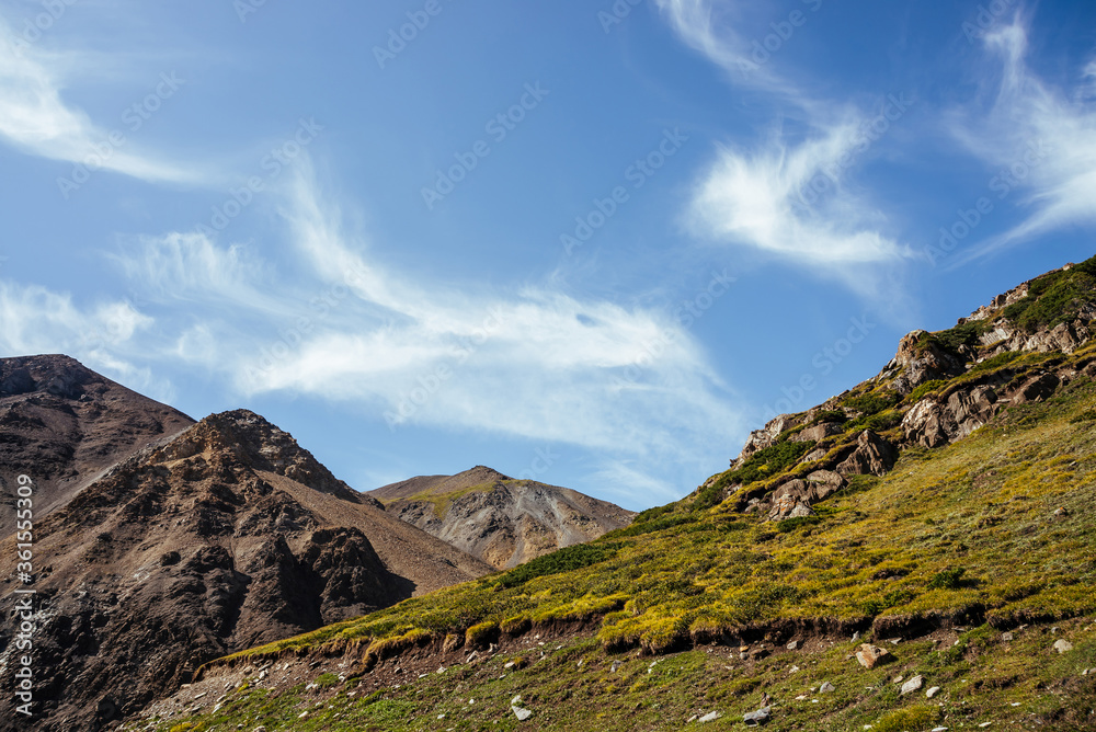 Scenic mountain landscape with beautiful cirrus clouds in clear blue sky over rocks in sunlight. Colorful highland scenery with spindrift clouds in blue clear sky above green brown rocky mountains.