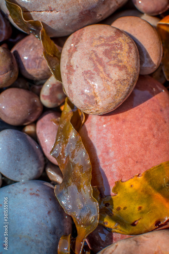 pebbles on a beach photo