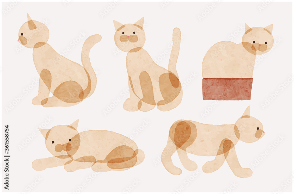Obraz premium kitten 