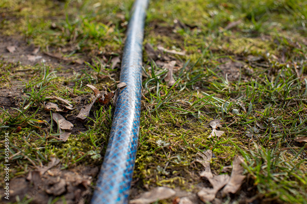 close-up hose for watering in the grass close-up hose for watering in the grass