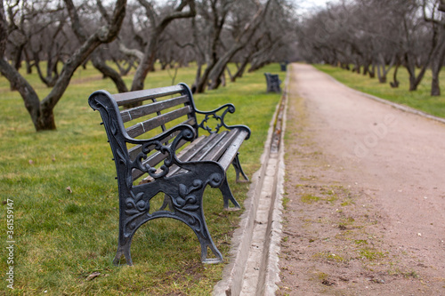 bench in the summer park next to the path