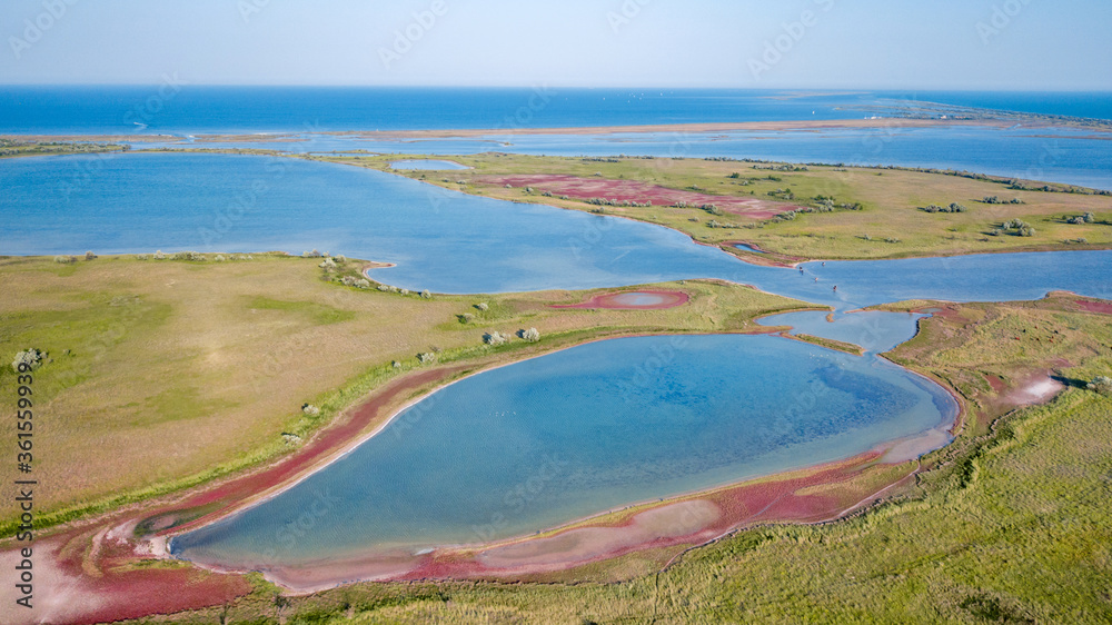 amazing aerial view of blue and pink lakes, sea on horizon. Beautiful natural landscape. Drone shot, bird's eye.