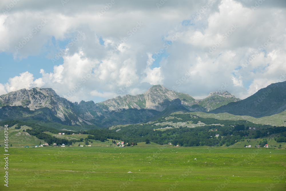 Fototapeta premium Durmitor mountain range in Zabljak (Montenegro)