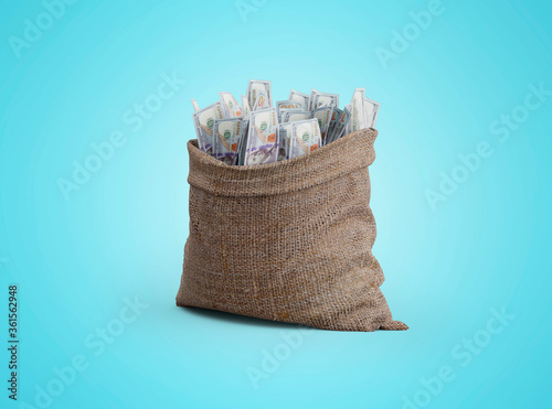 3d rendering bag of money on blue background with shadow