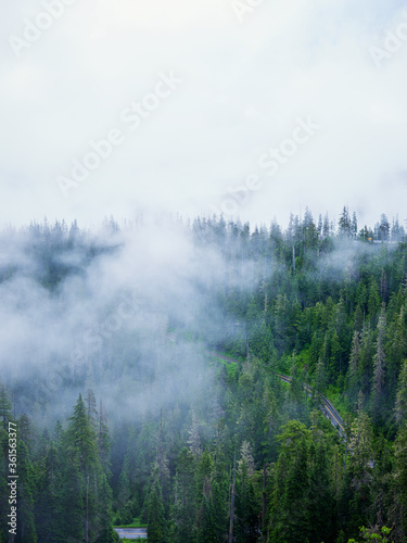 The ultimate mountain forest misty road