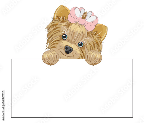 Yorkshire terrier dog frame