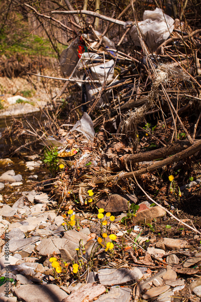 Obraz premium Large pile of garbage mixed with wooden cuts on the river bank