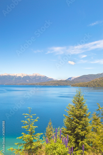 Lake with mountains and blue sky in the argentinian patagonia