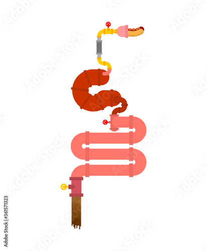 Metal stomach and intestines. Robotic internal organ. Iron digestive tract. Cyborg organs. Robot gut